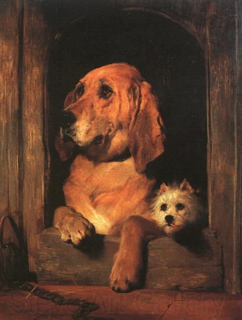Sir Edwin Landseer Dignity and Impudence Spain oil painting art